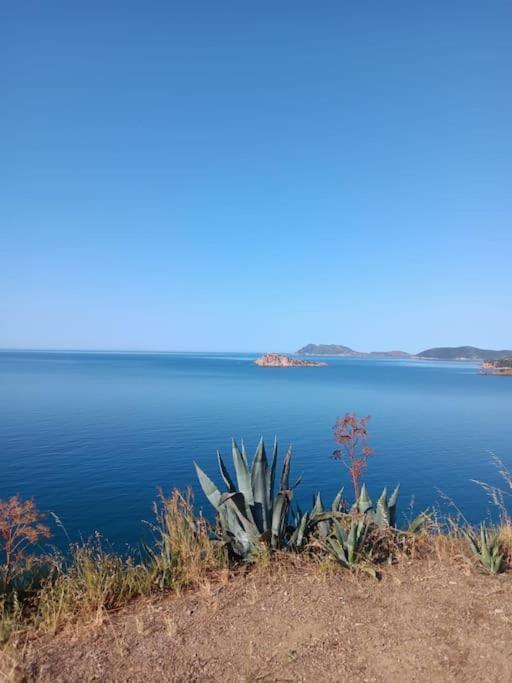 Gli Appartamenti Di Francuzzo Teulada Exteriér fotografie